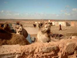 guelmim